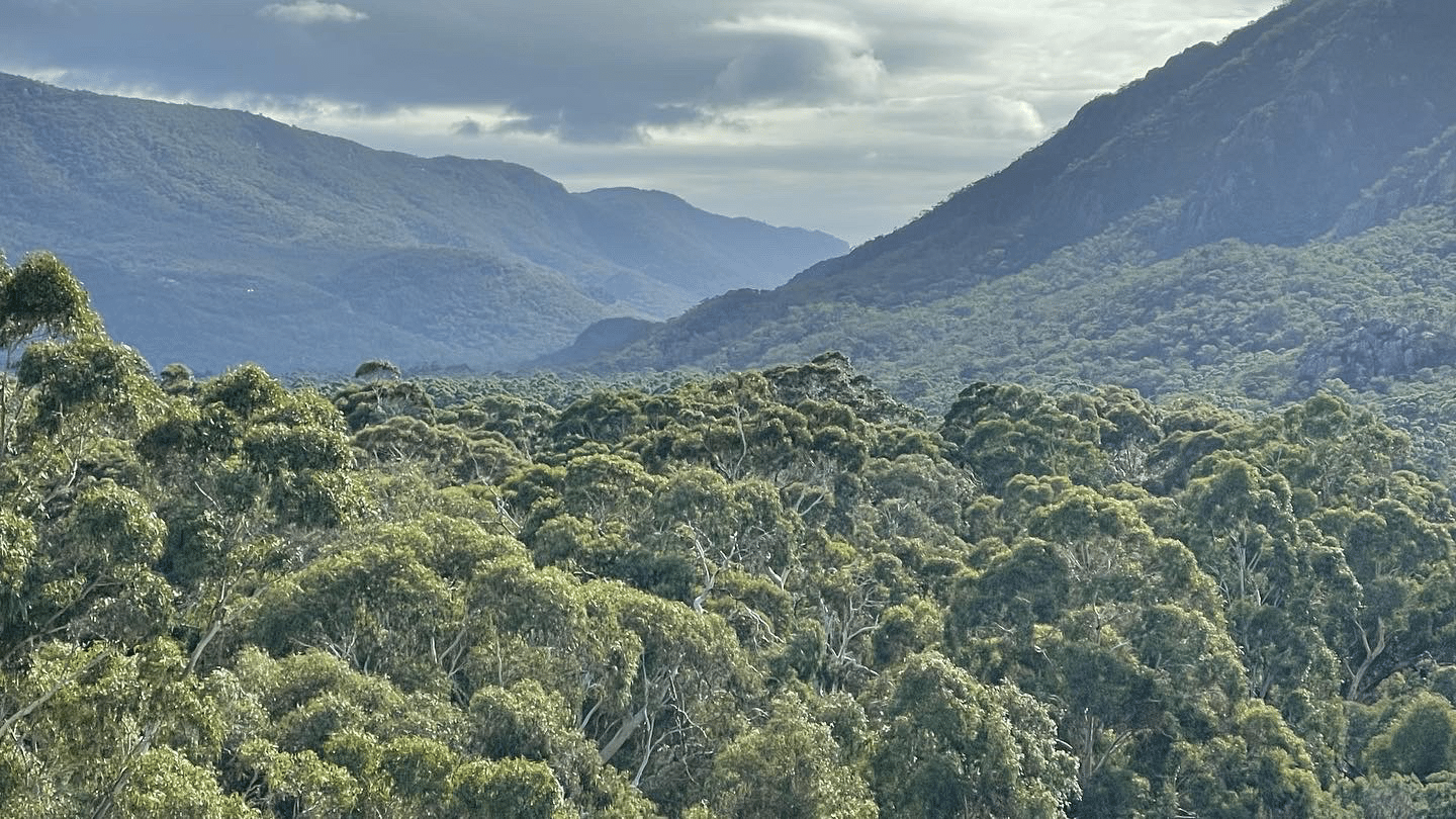 Australia Wilderness in the Grampians in Australia
